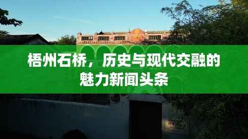 梧州石桥,历史与现代交融的魅力新闻头条