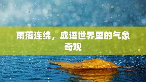 雨落连绵，成语世界里的气象奇观