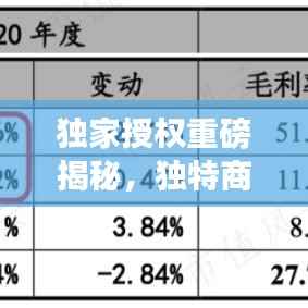 独家授权重磅揭秘,独特商业模式成交易热点!