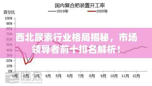 西北尿素行业格局揭秘,市场领导者前十排名解析!