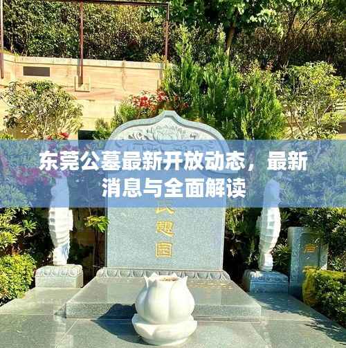 东莞公墓最新开放动态,最新消息与全面解读