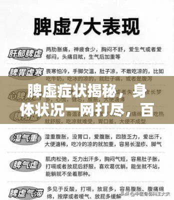 脾虚症状揭秘，身体状况一网打尽，百度来解答！