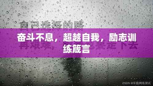 奋斗不息，超越自我，励志训练箴言