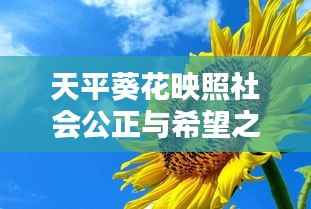天平葵花映照社会公正与希望之光，新闻头条下的时代风采