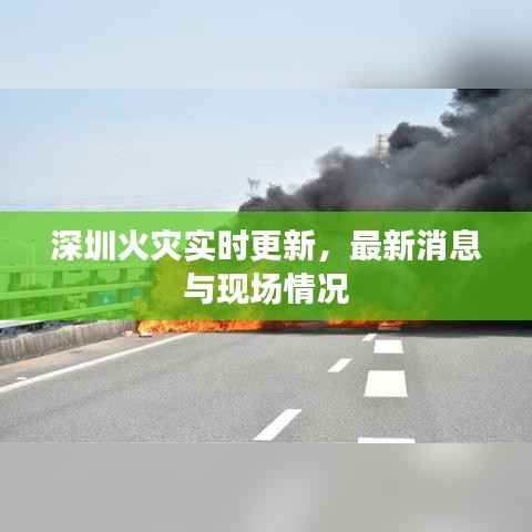 深圳火灾实时更新,最新消息与现场情况