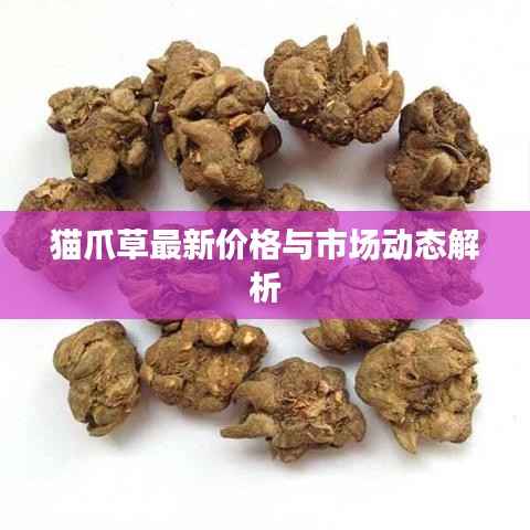 猫爪草最新价格与市场动态解析