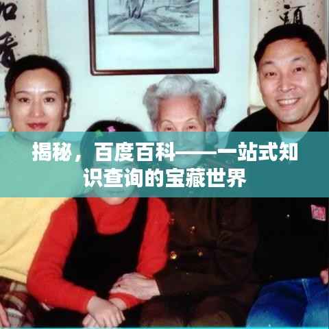 揭秘,百度百科——一站式知识查询的宝藏世界