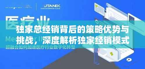 独家总经销背后的策略优势与挑战，深度解析独家经销模式