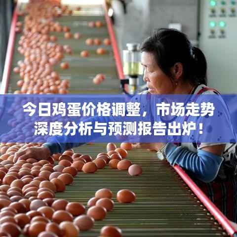今日鸡蛋价格调整，市场走势深度分析与预测报告出炉！