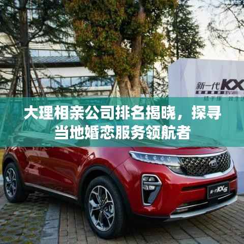 大理相亲公司排名揭晓，探寻当地婚恋服务领航者