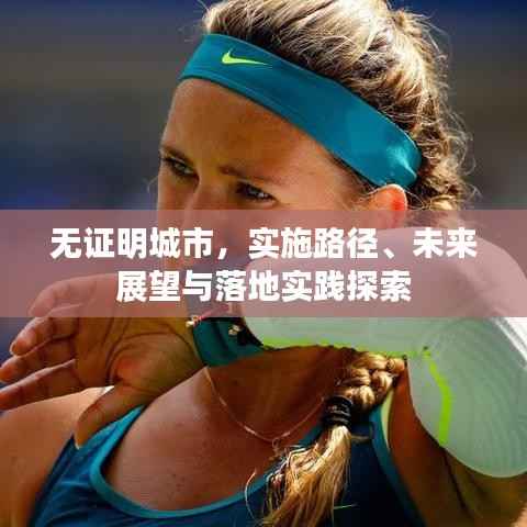 无证明城市,实施路径、未来展望与落地实践探索