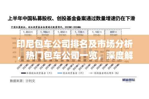 印尼包车公司排名及市场分析，热门包车公司一览，深度解读市场趋势