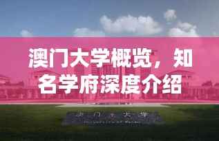 澳门大学概览,知名学府深度介绍