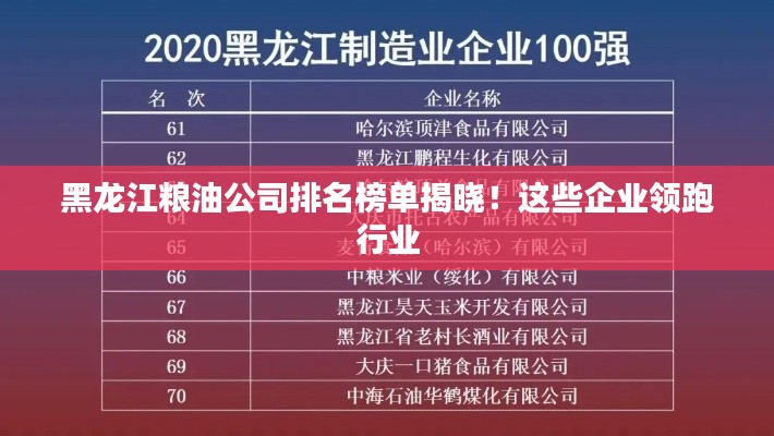 黑龙江粮油公司排名榜单揭晓!这些企业领跑行业
