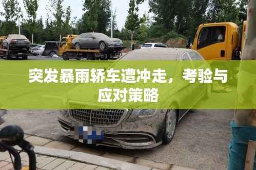 突发暴雨轿车遭冲走,考验与应对策略
