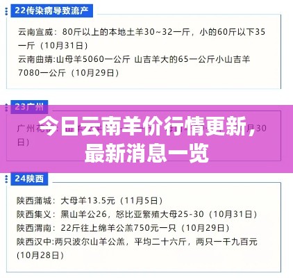 今日云南羊价行情更新，最新消息一览