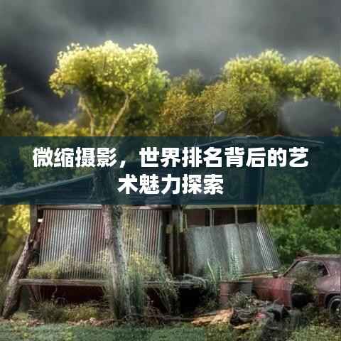 微缩摄影，世界排名背后的艺术魅力探索