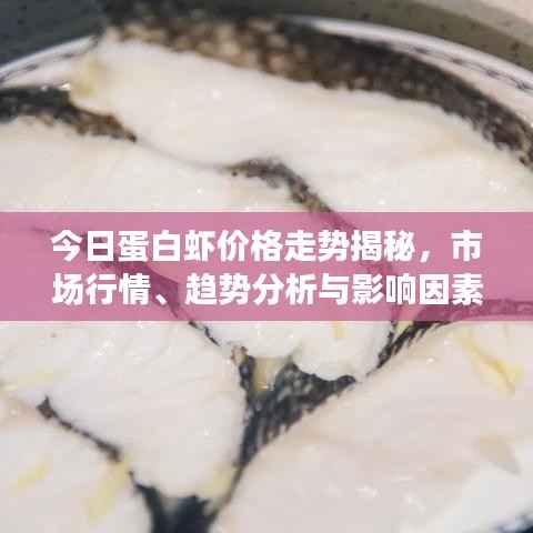 yishisanniao 第4页