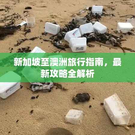 新加坡至澳洲旅行指南,最新攻略全解析