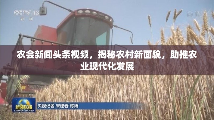 农会新闻头条视频,揭秘农村新面貌,助推农业现代化发展
